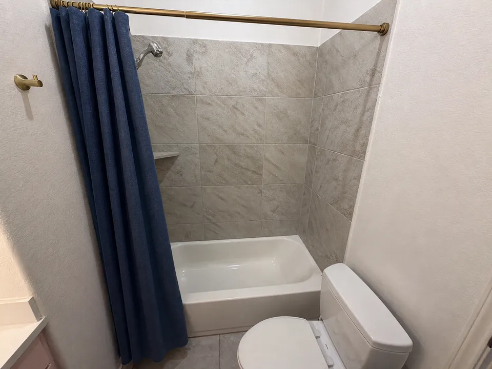 Bathroom tub, shower, and toilet fixtures
